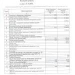 Rachunek wyników Fundacja Open Culture za 2012 r. s 1 z 1